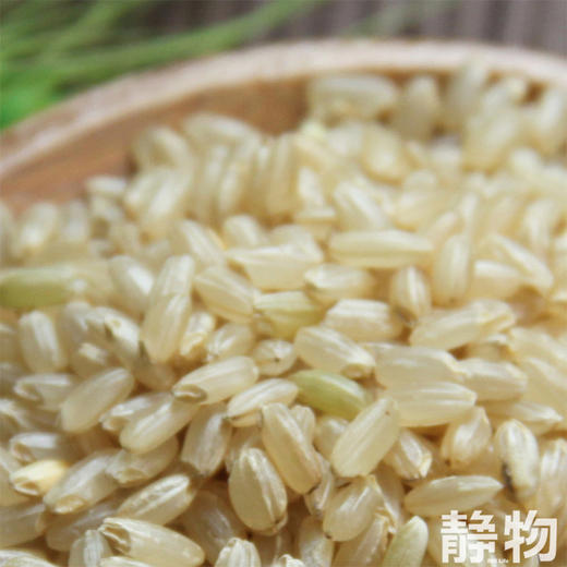 有机糙米420g｜生态小镇 商品图1