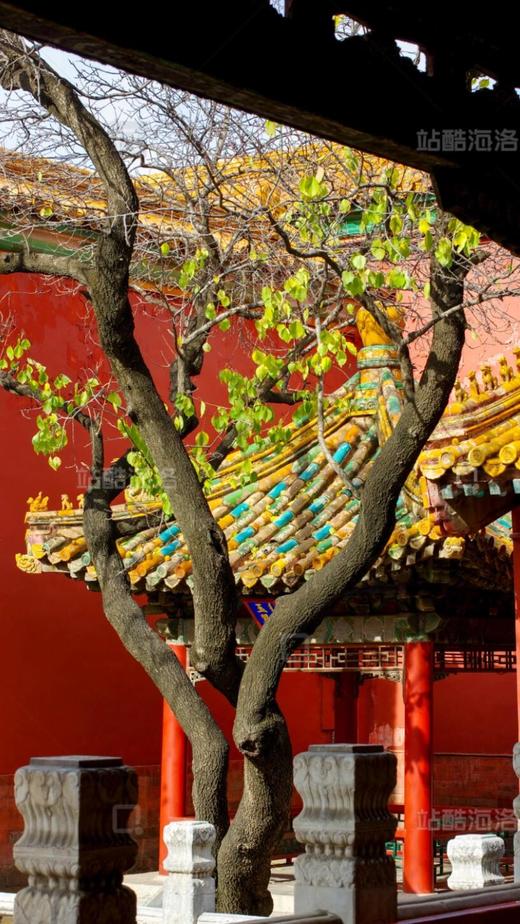 诗意北京紫荆之巅双飞5日游【旅游】 商品图4