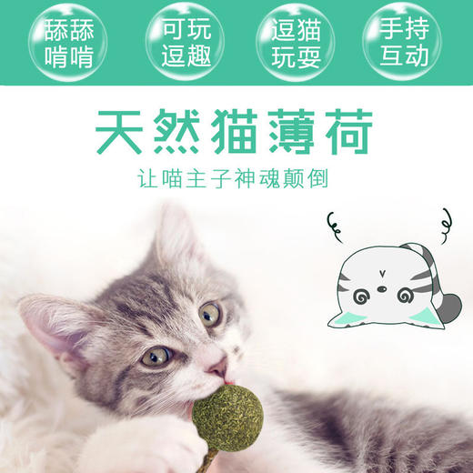 严选【猫薄荷棒棒糖单支装 】麦斯蒂木天蓼玩具虫瘿果猫咪磨牙棒猫薄荷球1支 商品图0