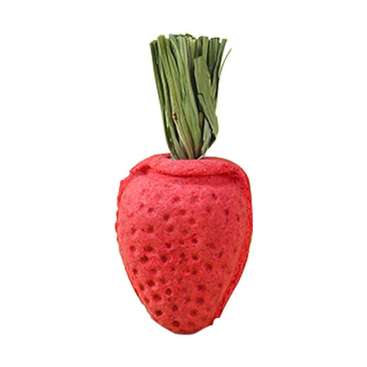 严选【趣味磨牙草莓3个/袋】仓鼠磨牙小动物零食磨牙造景花枝鼠龙猫解闷零食 商品图4