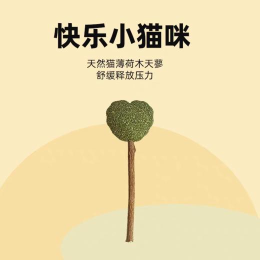 严选【猫薄荷爱心棒棒糖1支 】磨牙棒玩具耐咬逗猫棒自嗨解闷神器猫咪零食 商品图2
