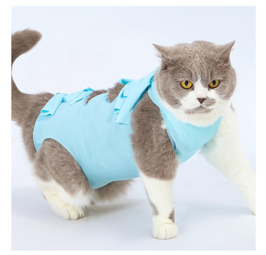 严选宠物绝育服猫咪绝育术后恢复防创口接触外物防舔绑带服透气蓝色猫猫服 商品图4