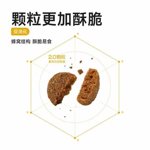 纯福 新品尝鲜猫粮全价高蛋白无谷酶解鸡肉幼猫成猫全期猫粮试吃装50g 商品图3