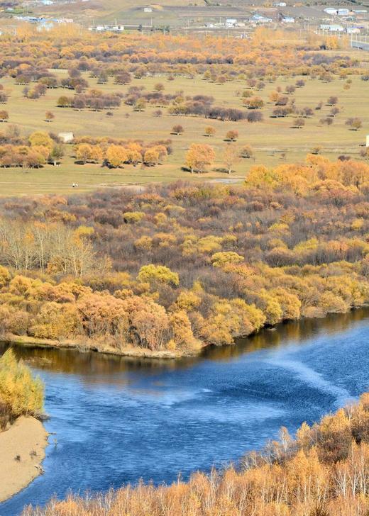 形摄东北·寻最美秋景阿尔山双飞14天【业主专团】0自费0购物 小区接送 【旅游】 商品图8