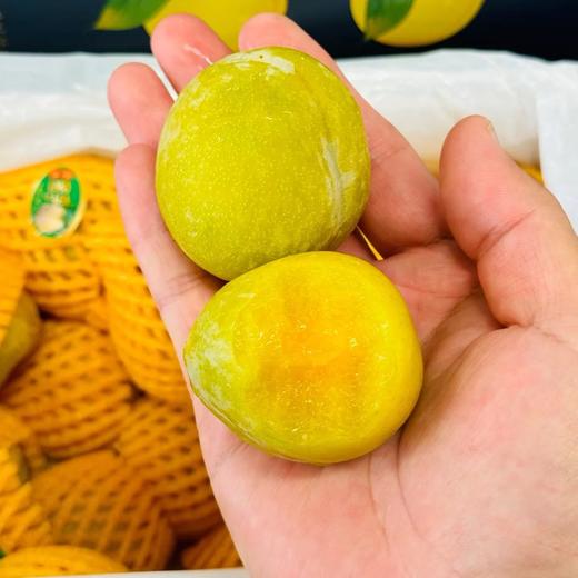 新鲜水果 肉厚核小金丝蜜李子  500g 商品图1