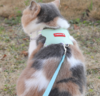 严选猫咪胸背带【桃皮绒清新绿牵引绳M码】猫咪外出防挣脱工字牵引绳1个 商品缩略图1