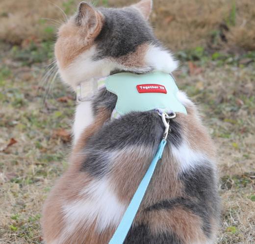 严选猫咪胸背带【桃皮绒清新绿牵引绳M码】猫咪外出防挣脱工字牵引绳1个 商品图1