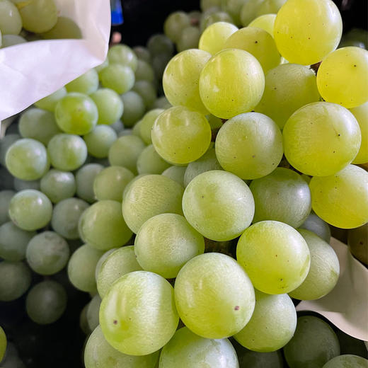 水晶葡萄约1000g/份 商品图1