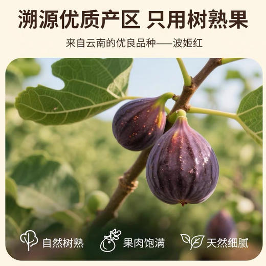 【无花果干】树熟青皮无花果果干/无添加无防腐剂/天然黄体酮营养浓缩/孕妇小孩都能放心吃的美味健康零食独立小包装很方便 商品图8