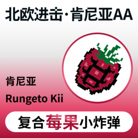 捌比特 北欧进击批次 肯尼亚AA水洗 手冲精品咖啡豆 100g