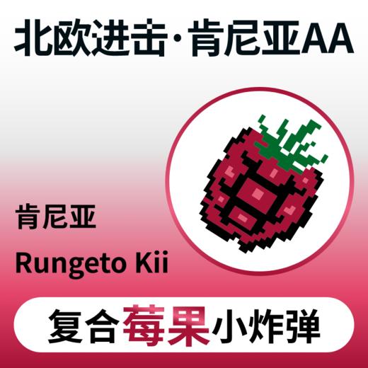 捌比特 北欧进击批次 肯尼亚AA水洗 手冲精品咖啡豆 100g 商品图0