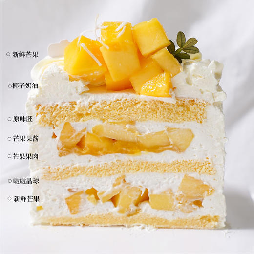 芒”薯了&Jellycat【A5112】 商品图1