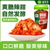 圃美多鲜脆韩式泡菜辣白菜 下饭菜 400g/瓶 商品缩略图0