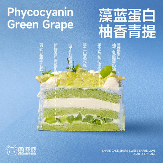 藻蓝蛋白柚香青提 商品图1