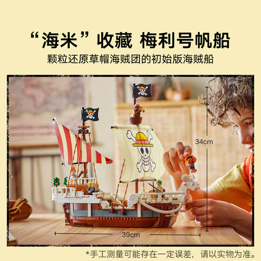 H乐高积木      L75639  海贼王   前进梅利号海贼船 商品图2