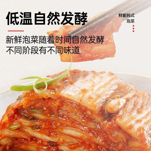 圃美多鲜脆韩式泡菜辣白菜 下饭菜 400g/瓶 商品图5