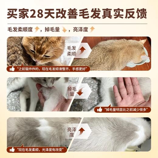 伯纳天纯全价低温烘焙猫粮鲜肉美毛全阶段 拒绝黑下巴 商品图1