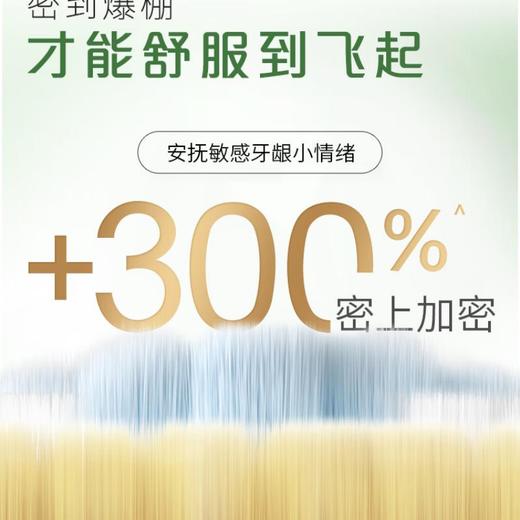 高露洁宽密薄绵绵丝 3重密护牙刷 双支装 商品图4