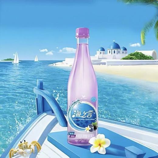 统一海之言果味饮料补充电解质蓝莓味500ml/瓶 商品图0