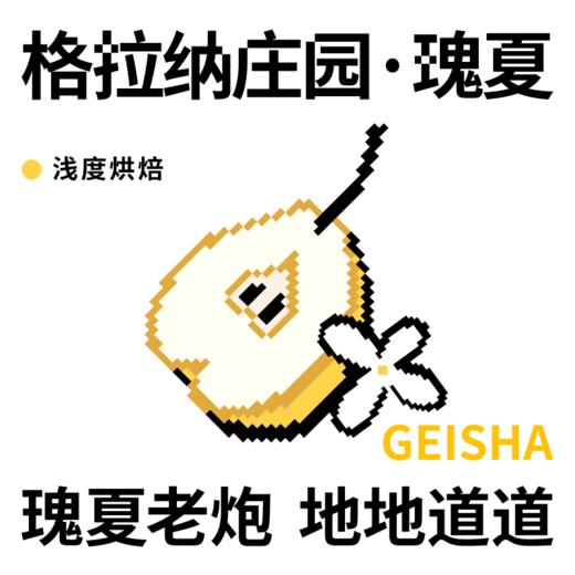 捌比特 埃塞俄比亚 格拉纳庄园 瑰夏 浅烘焙 手冲水洗咖啡豆 250g 商品图1