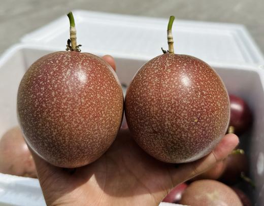 蜜桃百香果西番莲  可直接喝的果汁 商品图7