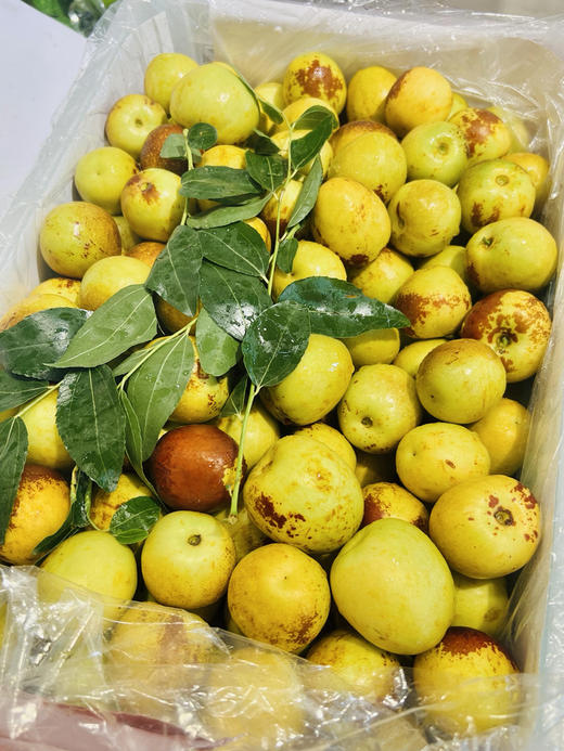 7.8元 每件  大荔冬枣2斤 商品图4