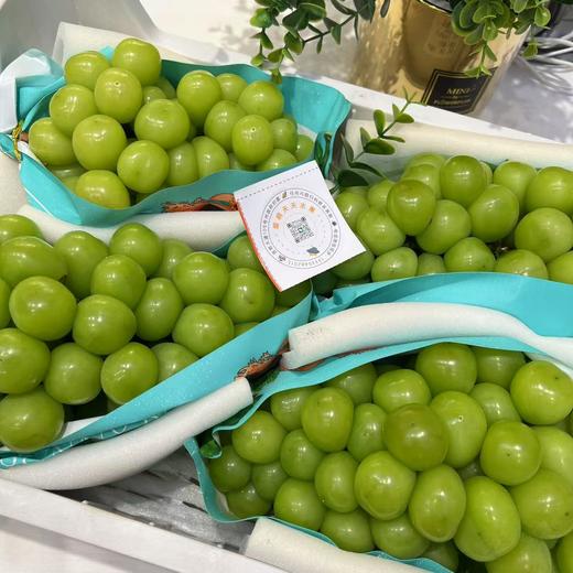 阳光玫瑰青提   商品图2