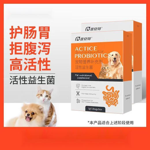 普安特 猫咪宠物狗狗活性益生菌肠胃拉软专用营养品呕吐拉稀补充剂 商品图0