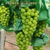 阳光玫瑰5斤礼盒【NB】 商品缩略图1