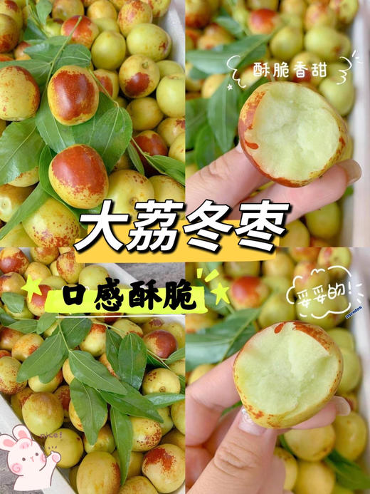 7.8元 每件  大荔冬枣2斤 商品图3