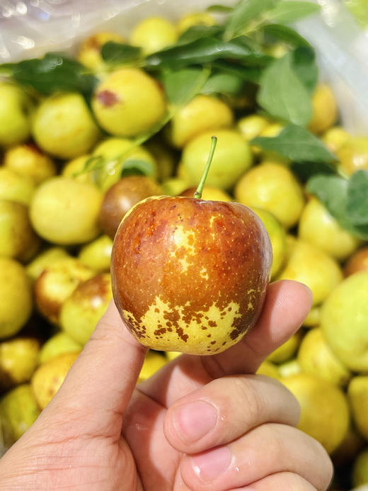 7.8元 每件  大荔冬枣2斤 商品图2