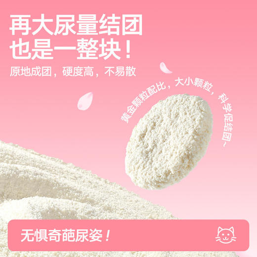 木薯猫砂【0甲醛樱花白茶2.5斤】除臭祛味无尘结团植物家用猫砂不沾底1袋 商品图1