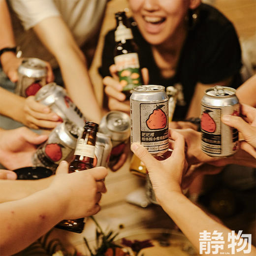耙耙柑柏林酸小麦精酿啤酒330ml｜丑美阿柑 商品图5