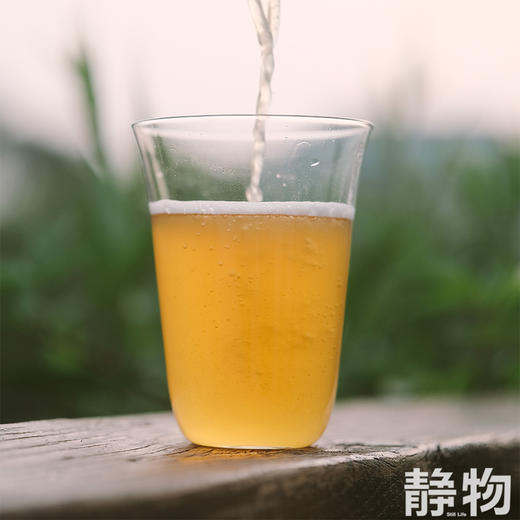 耙耙柑柏林酸小麦精酿啤酒330ml｜丑美阿柑 商品图1