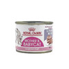 皇家奶糕罐头幼猫孕猫全阶段猫罐头 成猫全价主食猫湿粮猫咪零食罐195g 商品缩略图2