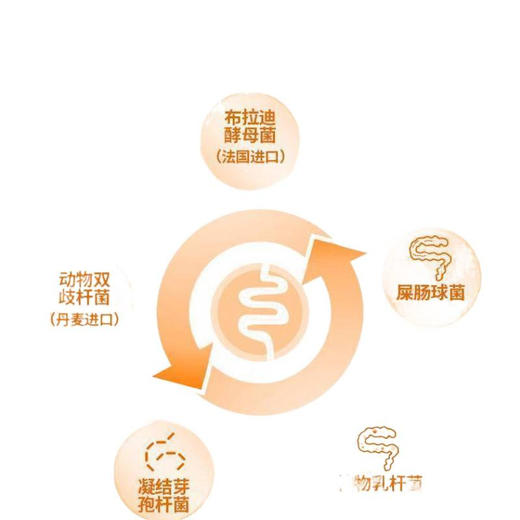 普安特 猫咪宠物狗狗活性益生菌肠胃拉软专用营养品呕吐拉稀补充剂 商品图3