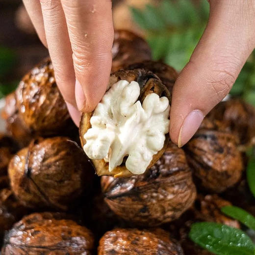 【云南新鲜湿核桃】去青皮新鲜湿核桃 百年古树核桃 薄皮嫩核桃 清甜脆嫩 甘甜味美 剥开薄壳 果仁饱满 赠送核桃夹 2种规格任选 商品图0