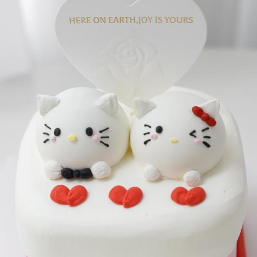 Kitty·纪念日蛋糕(方形）【C5123】 商品图2