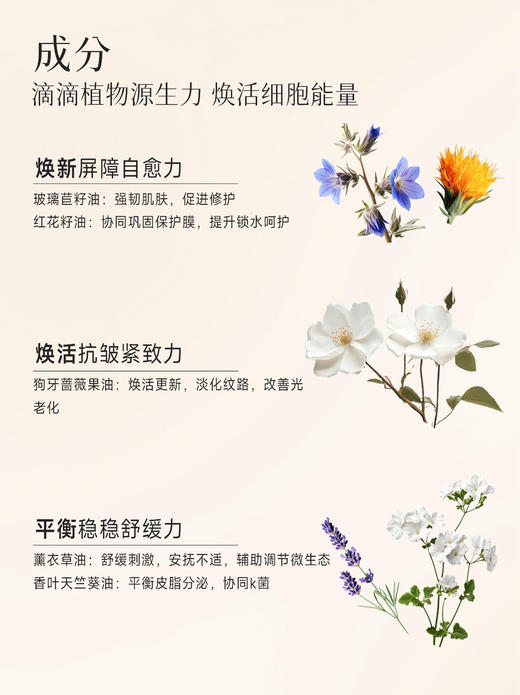 SourceMix素丝蜜丝面部瑜伽护理套装（洁面乳150ml+薰衣草水300ml+赋能精华油50ml） 商品图4