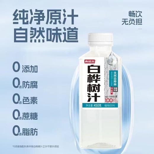 泰酷乐白桦树汁植物饮料  450g 商品图2