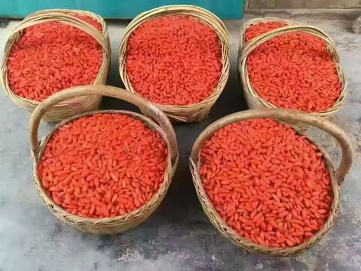 包邮/无硫中卫头茬枸杞  无任何添加  自然晾晒 商品图4