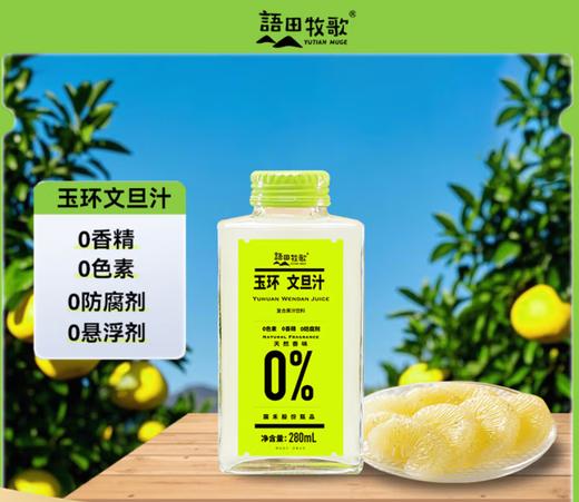 玉环文旦汁 商品图0