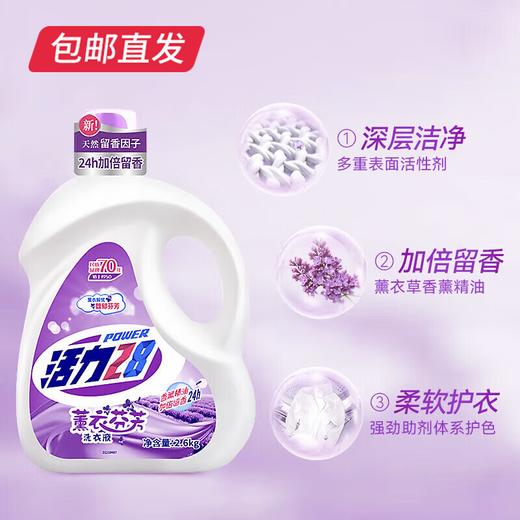 活力28薰衣草芬芳洗衣液2.6kg瓶装  深层去污持久留香【包邮直发】 商品图2