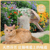 严选宠物猫砂除臭小颗粒近无尘鹏润土猫砂10斤祛味结团吸水家用 商品缩略图2