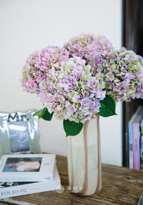 粉色花边花瓶(不含花)