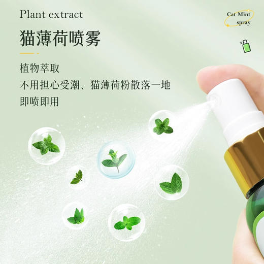严选【猫薄荷】喷雾液体吸引小猫解闷玩具逗猫棒自嗨养猫神器50g/1瓶 商品图3