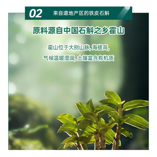 正官庄 EVERYTIME 红参铁皮石斛饮品 210g/盒（10g*21包） 商品图1