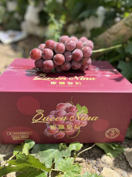 顶级品种 妮娜皇后（自带红酒香 圆润大，颜值高，味道好） 商品图6