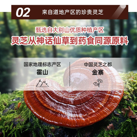 正官庄 EVERYTIME 红参灵芝饮品 210g/盒（10g*21包） 商品图1