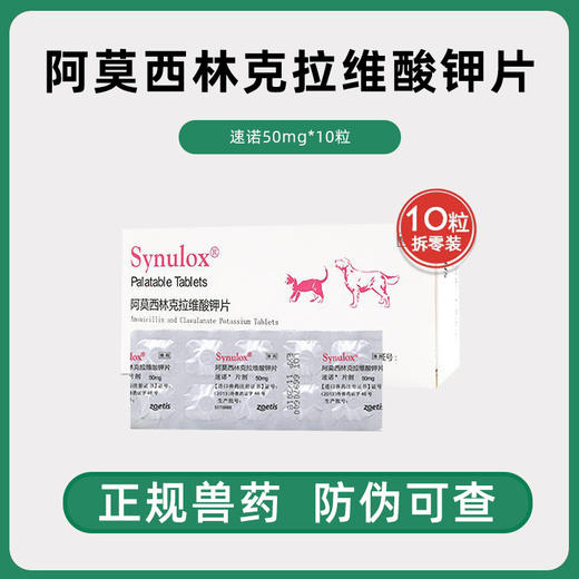 进口速诺同成分卜尼阿莫西林克拉维酸钾片宠物用感冒药速诺猫鼻支药 商品图0